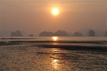 เสม็ดนางชี